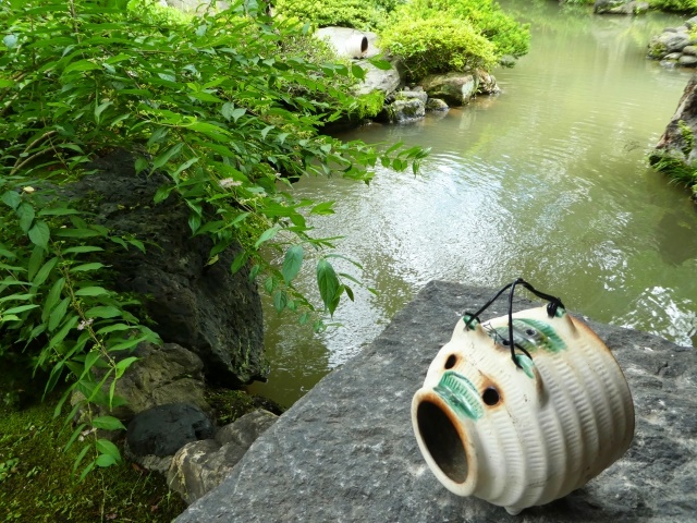 遺伝子工学で蚊を早死にさせる